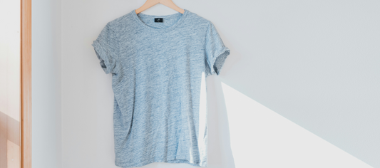 The Relationship Between Clothes Moths and Human Health