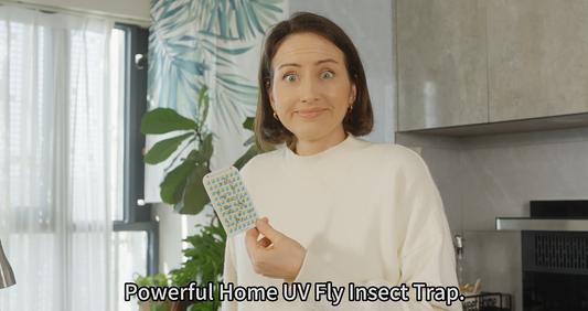 Fruit Fly Plug In Trap: #1 UV Killer vs Apple Traps for Gnats - Safe & Powerful!