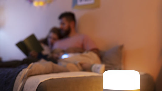 Pet-Safe Mosquito Traps: Eco-Friendly Bug Control Solutions