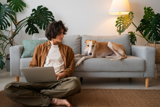 Pet-Safe Pest Control: Physical Methods That Really Work