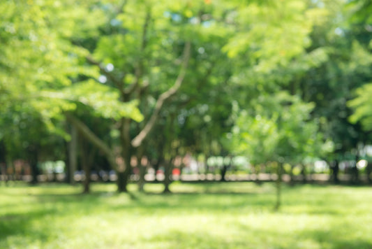 How to Trap Fruit Flies & Outdoor Insects: Mosalogic's Non-Toxic Solutions