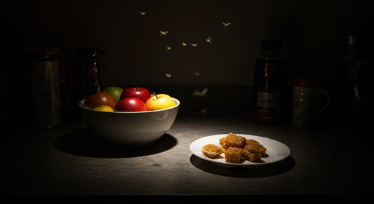 How to Trap Fruit Flies at Home