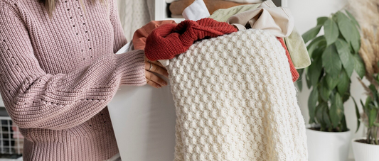 Carpet Beetles: The Hidden "Pest" in Your Home - mosalogic