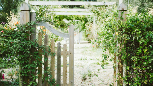 Toxic Houseplants to Avoid: Keep Your Home Safe for Kids & Pets