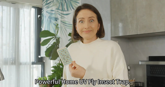 Fruit Fly Plug In Trap: #1 UV Killer vs Apple Traps for Gnats - Safe & Powerful! - mosalogic