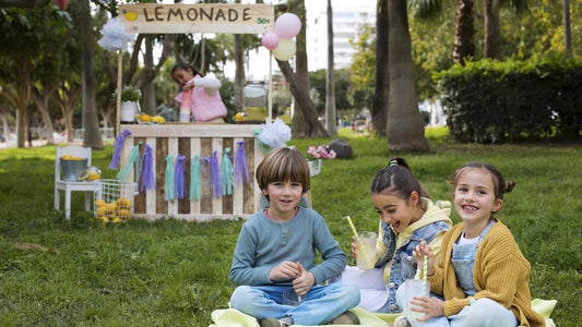 Top 5 Fly Repellent Fans for Tables | Mosalogic Solutions - mosalogic