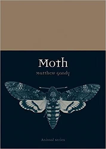 The Enigma of Moths - mosalogic