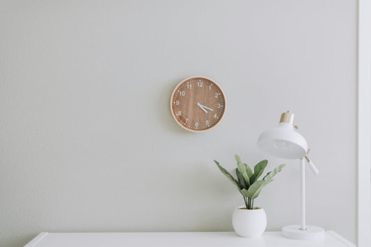 Mosalogic Eco-Friendly Mosquito Fans: 100% Physical Pest Control