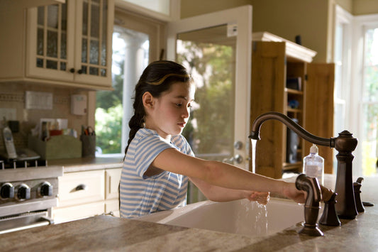 Eco-Friendly Pest Control: Safe & Effective with Mosalogic