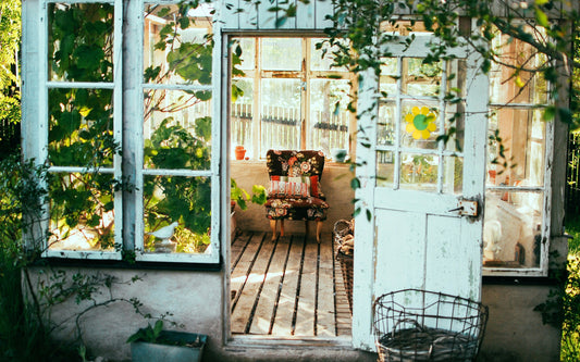 Safe Plug-In Bug Traps: Eco-Friendly Insect Control