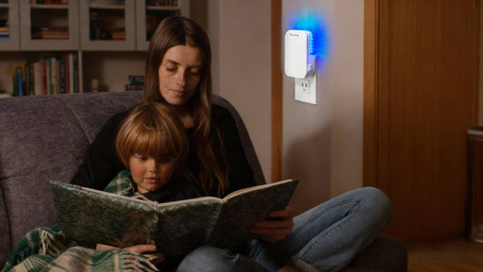 UV Bug Zapper vs Sprays vs Open Zappers vs ZEVO: What Works Best Indoors?