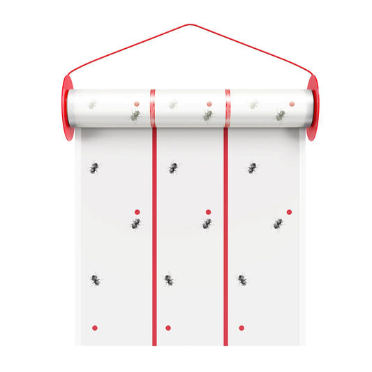 Mosalogic Giant Glue Fly Trap - mosalogic