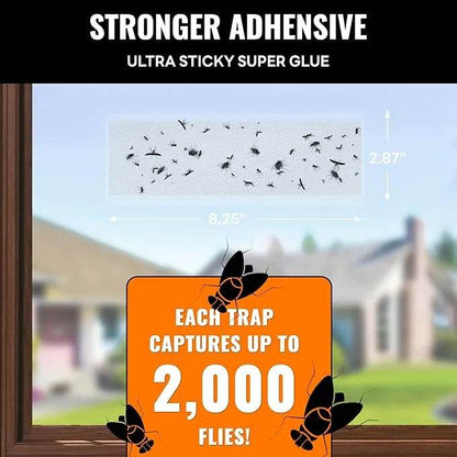 Mosalogic Ultimate Window Fly Traps for House Indoor - mosalogic