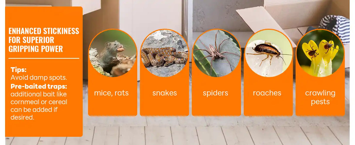 Mpese Insect Mouse Insect Trap | Dual Pest Control Trap | Mosalogic – mosalogic