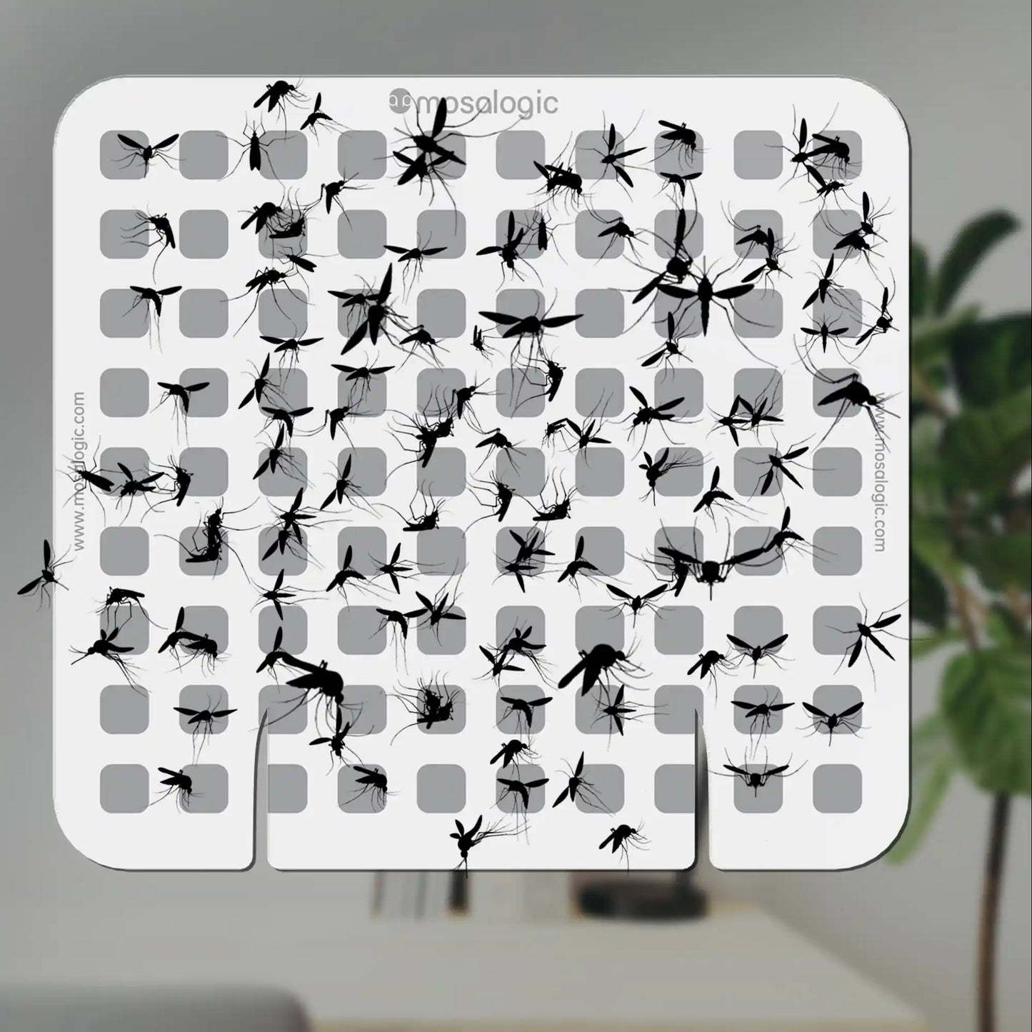 Mosalogic Updated Fly Trap Refills (5 Pack) Pest Control Accessories mosalogic Big_Fly_Trap_Refills_Effect_schematic_diagram