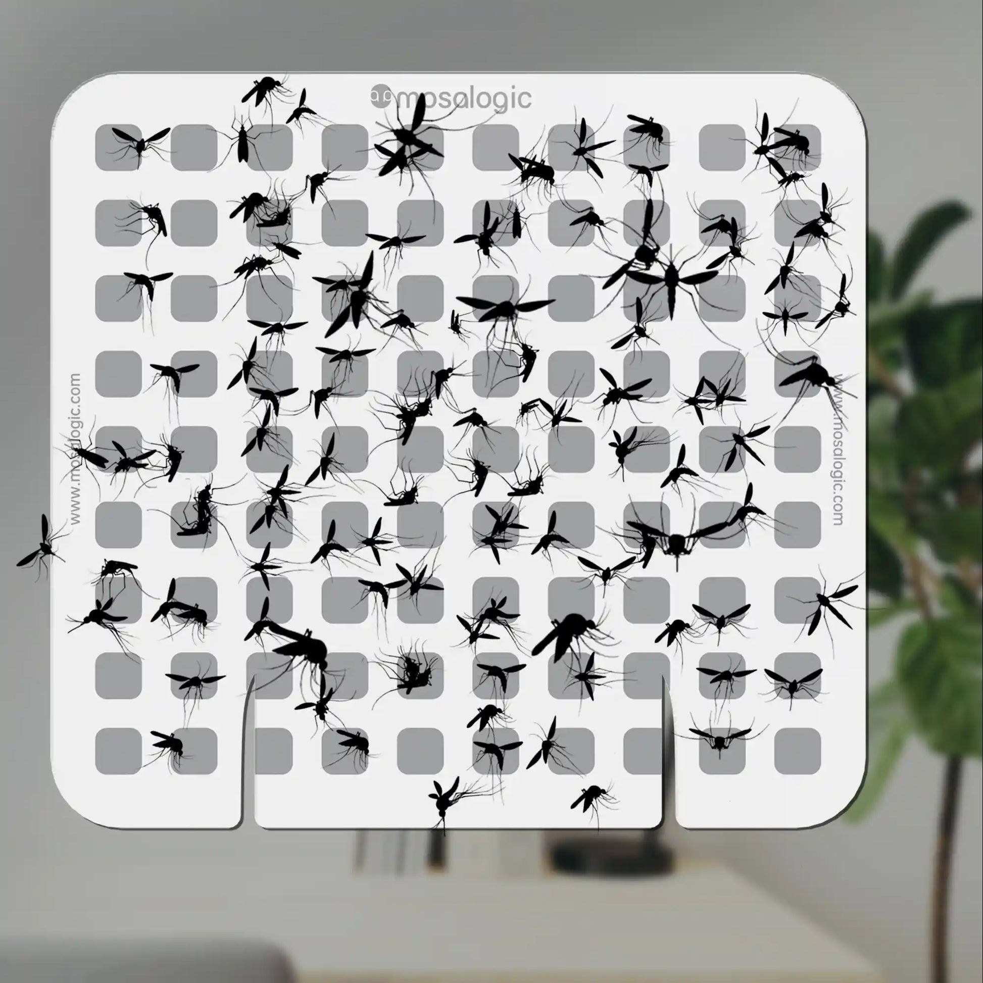 Mosalogic Updated Fly Trap Refills (5 Pack) Pest Control Accessories mosalogic Big_Fly_Trap_Refills_Effect_schematic_diagram