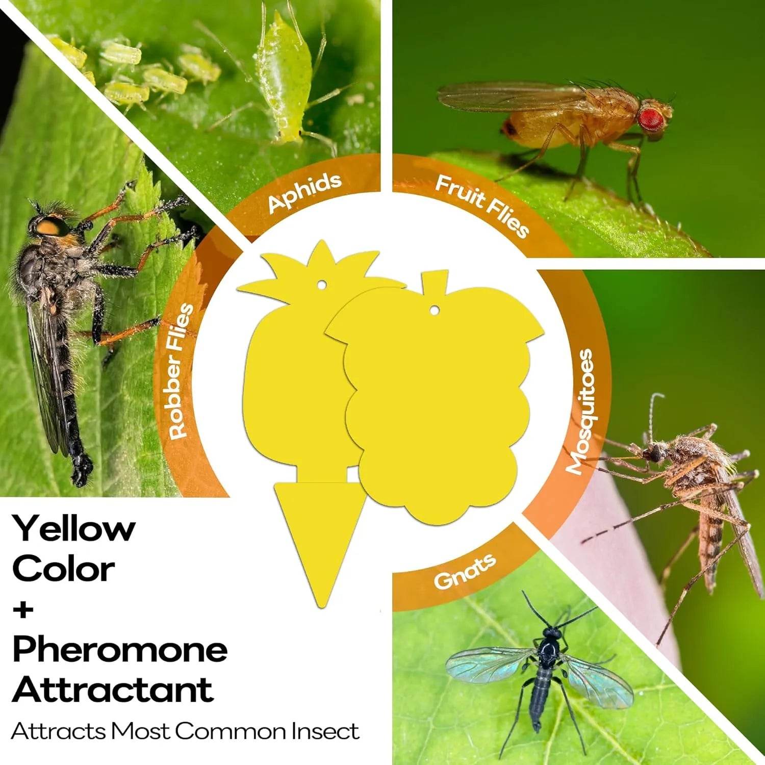 Yellow Sticky Traps for Plants - Gnat Killer 30/60 Pack Pest Control Devices mosalogic Mosalogic_UV_fly_trap_white_color_for_kitchen_and_living_room_pest_control