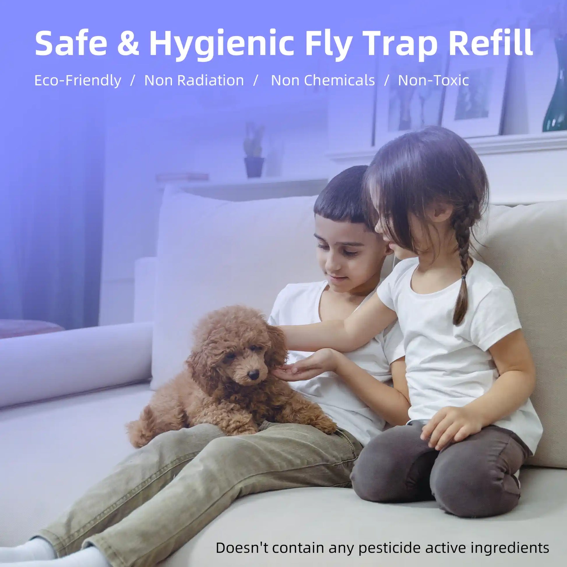 Mosalogic Sticky Glue Cards Refills (5 Pack) Pest Control Refills mosalogic Sticky_Glue_Cards_Refills_Safe_Hygienic_Fly_Trap_Refill