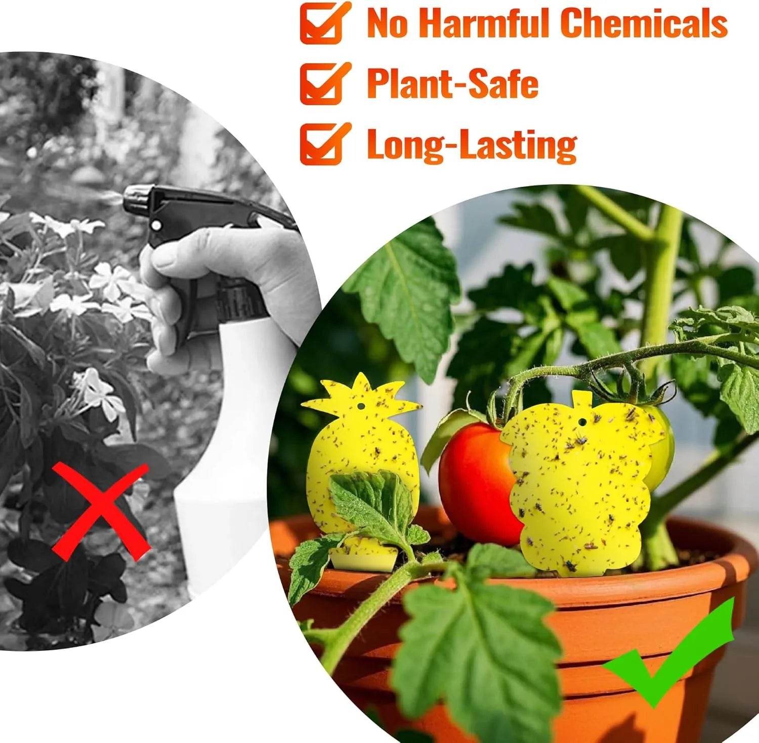 Yellow Sticky Traps for Plants - Gnat Killer 30/60 Pack Pest Control Devices mosalogic Sticky_glue_card_replacement_for_Mosalogic_fly_trap_device