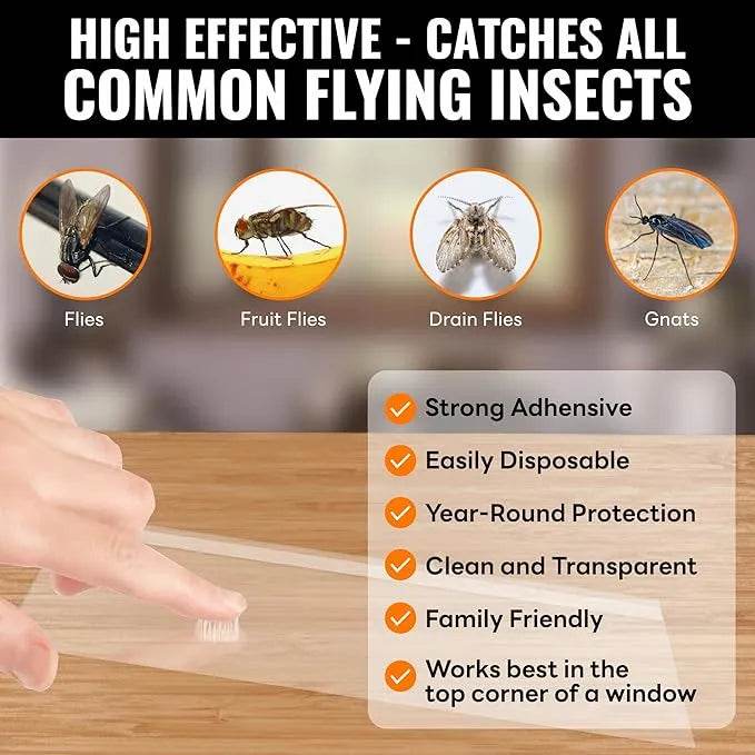 Window Fly Traps for House Indoor | Mosalogic Pest Control Accessories mosalogic Window_Fly_Traps_catches_all_common_flying_insects