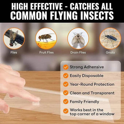 Window Fly Traps for House Indoor | Mosalogic Pest Control Accessories mosalogic Window_Fly_Traps_catches_all_common_flying_insects