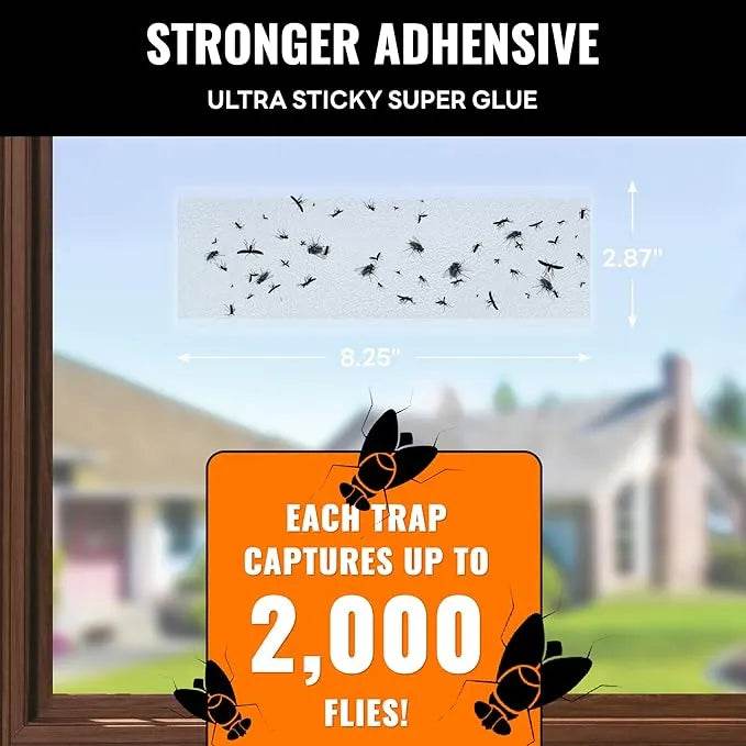 Window Fly Traps for House Indoor | Mosalogic Pest Control Accessories mosalogic Window_Fly_Traps_size